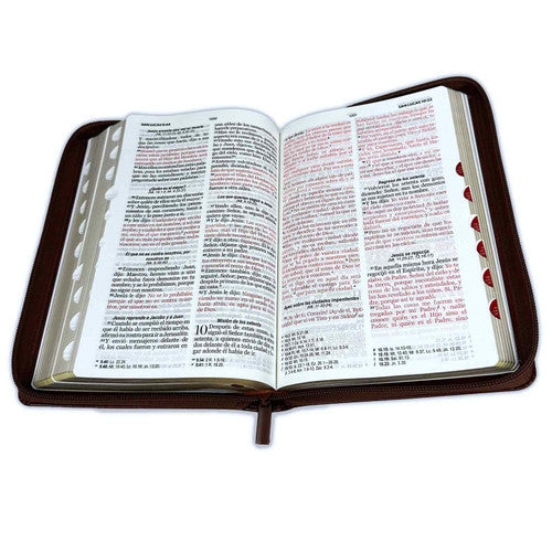 Biblia Tamano Manual Letra Grande 12 Pts Con Indice y Zipper | Imitacion Piel