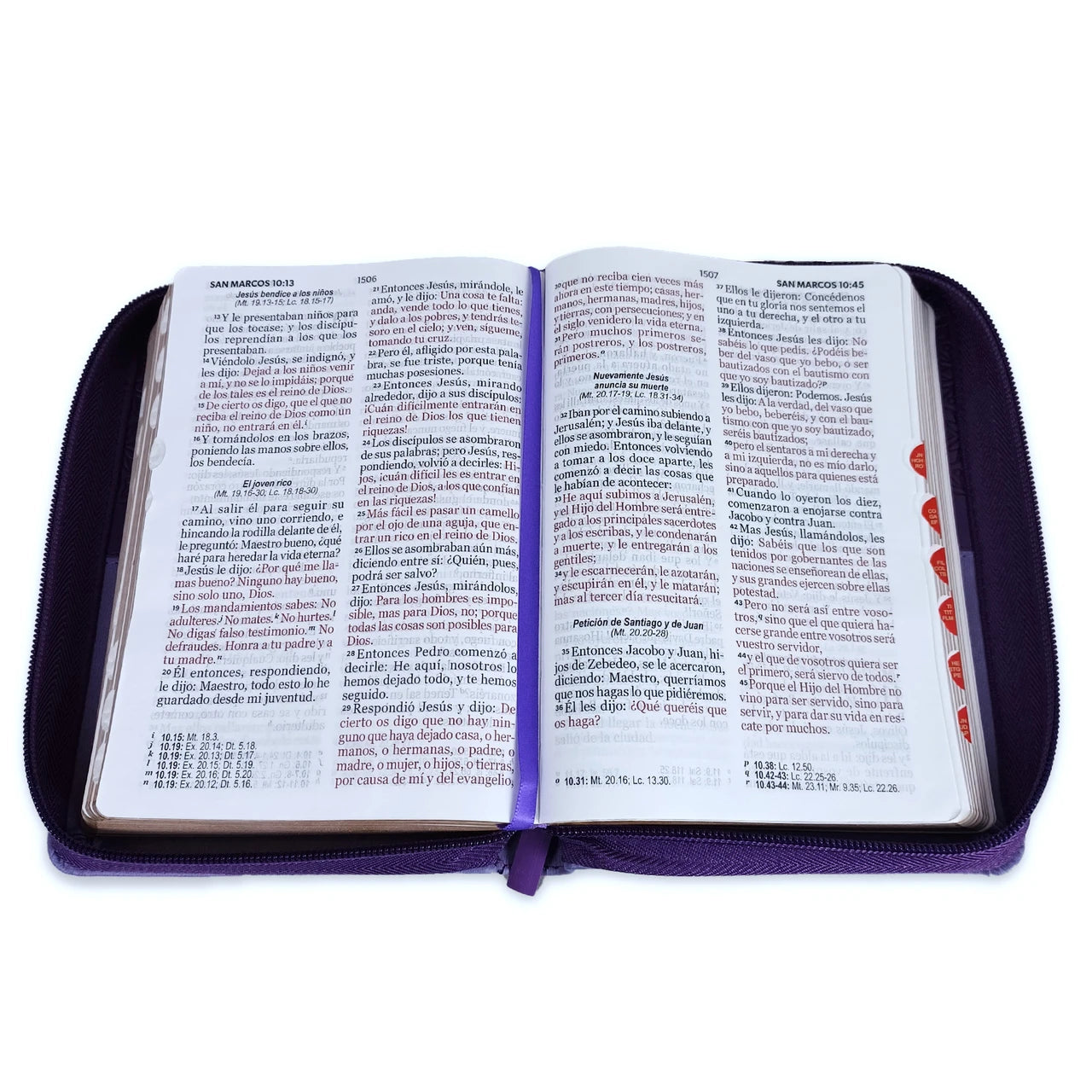 Biblia Letra Grande Tamano Compacto 11 Puntos Cierre RVR60 | Imitacion Piel Lila Con Indice y cierre