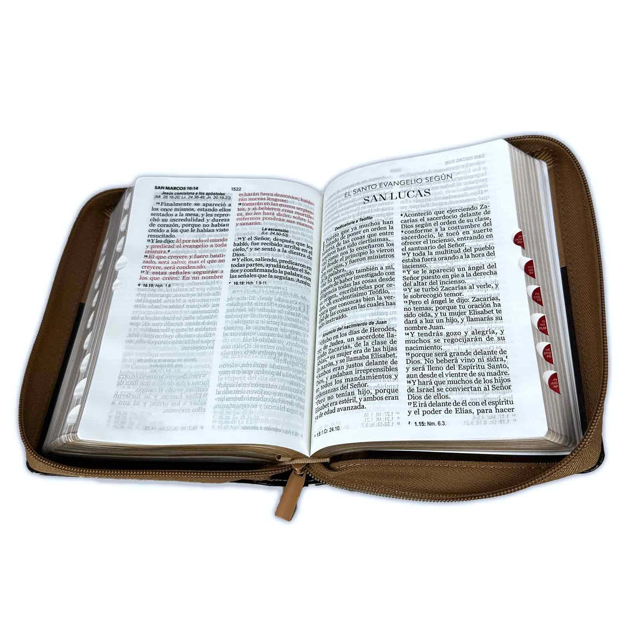 Biblia Tamano Compacto Letra Grande "Aguila"  Zipper 11 Puntos | Imitacion Piel