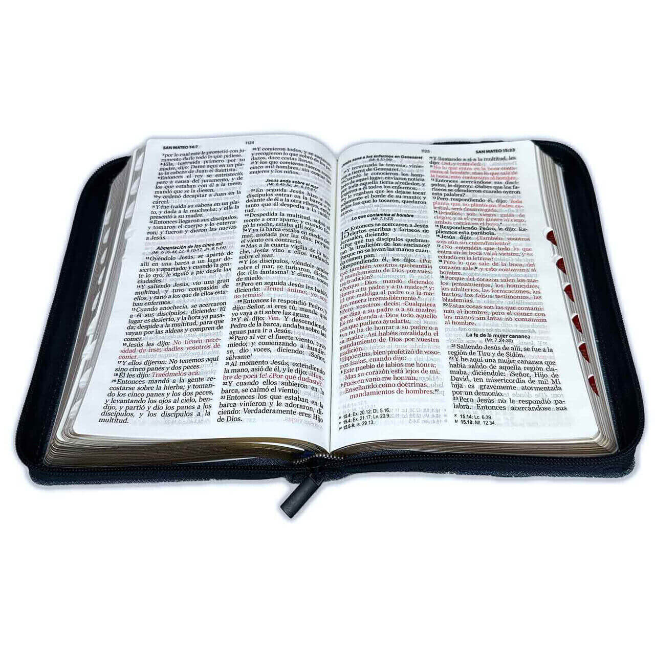 Biblia Letra Grande Tamano Manual 12Puntos, Cierre | Jean Cinturon Negro, Indice