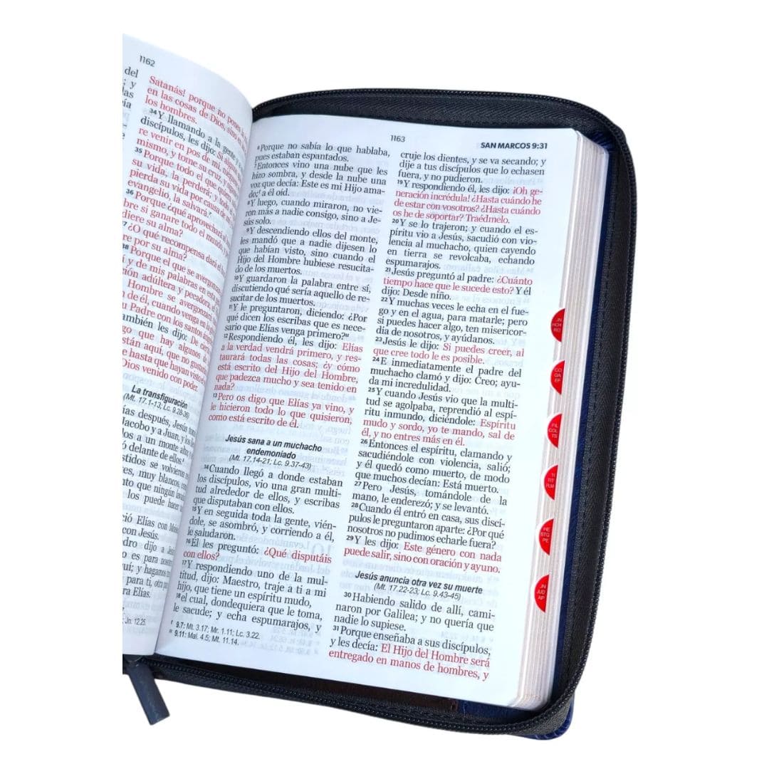 Biblia con Cierre Letra Grande 12 puntos RV1960, Imitacion Piel Tricolor Marron/