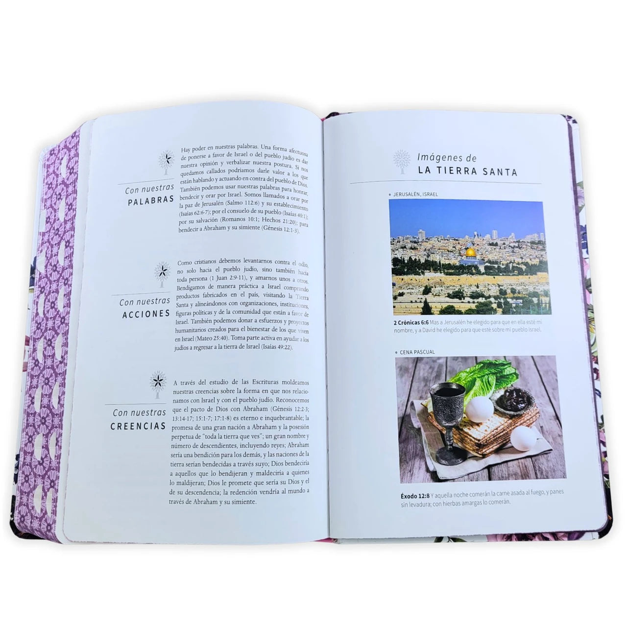 Biblia RVR 1960 Letra Gigante, Tamaño Manual, Tapa Dura, corona de flores con índice