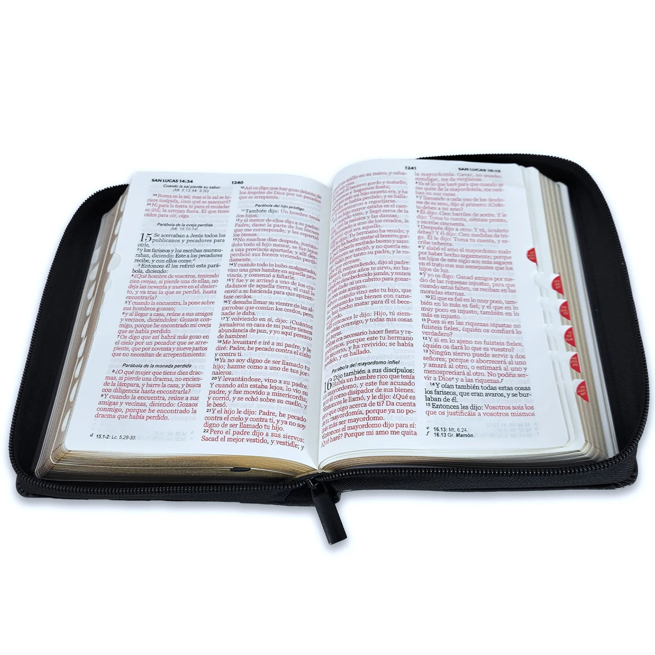 Biblia Letra Grande 10 Puntos Compacta RVR 1960 Leon y Cordero, Imitacion Piel con indice