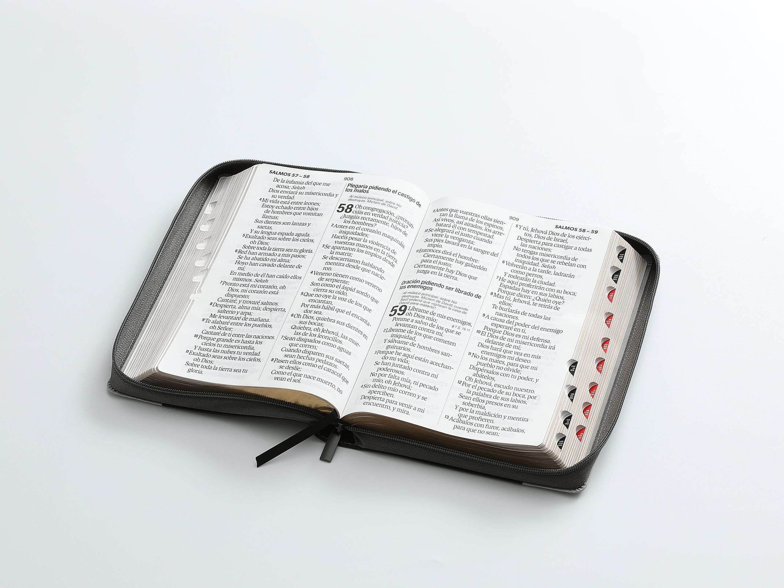 Biblia Letra Supergigante 19 Puntos,Cierre RVR 1960, | Imitacion Piel Leon Negro