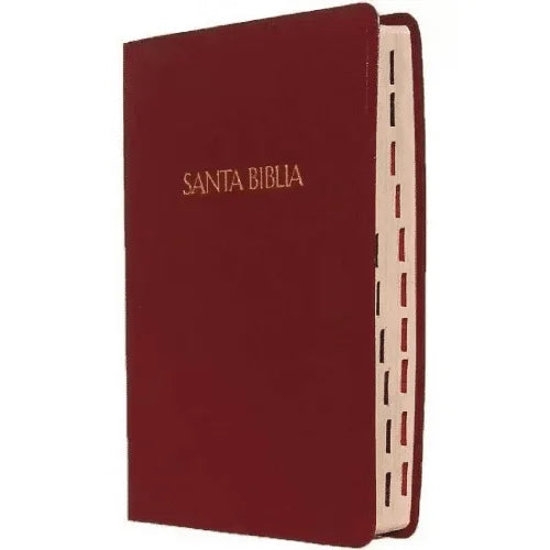 Biblia Letra Supergigante RVR 1960, Imitación Piel Vino con índice