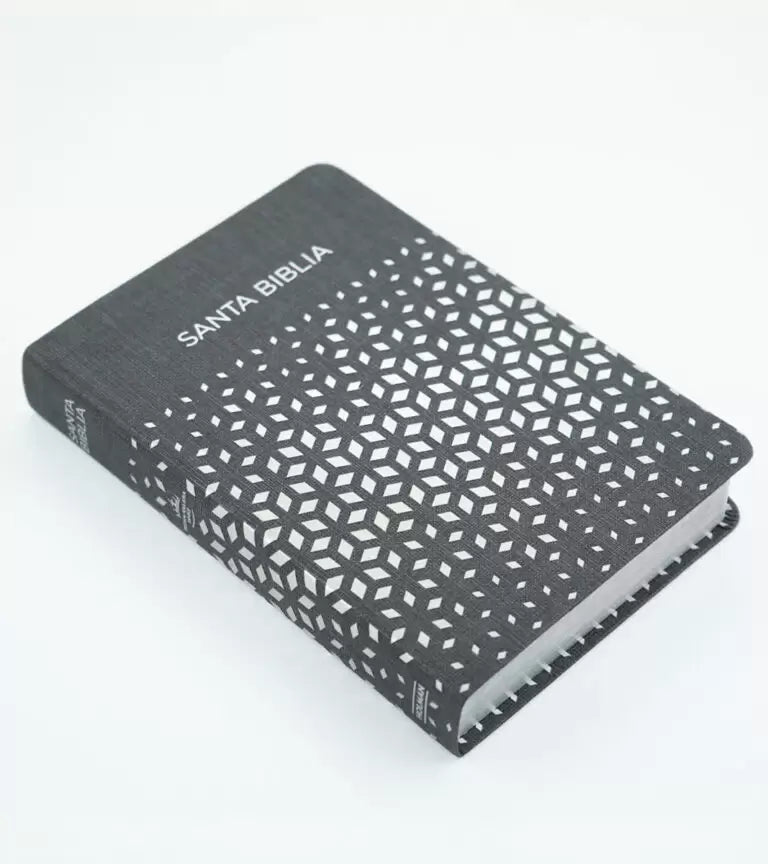 Biblia Para Regalos y Premios RVR 1960 | Simil Piel Negro-Plata