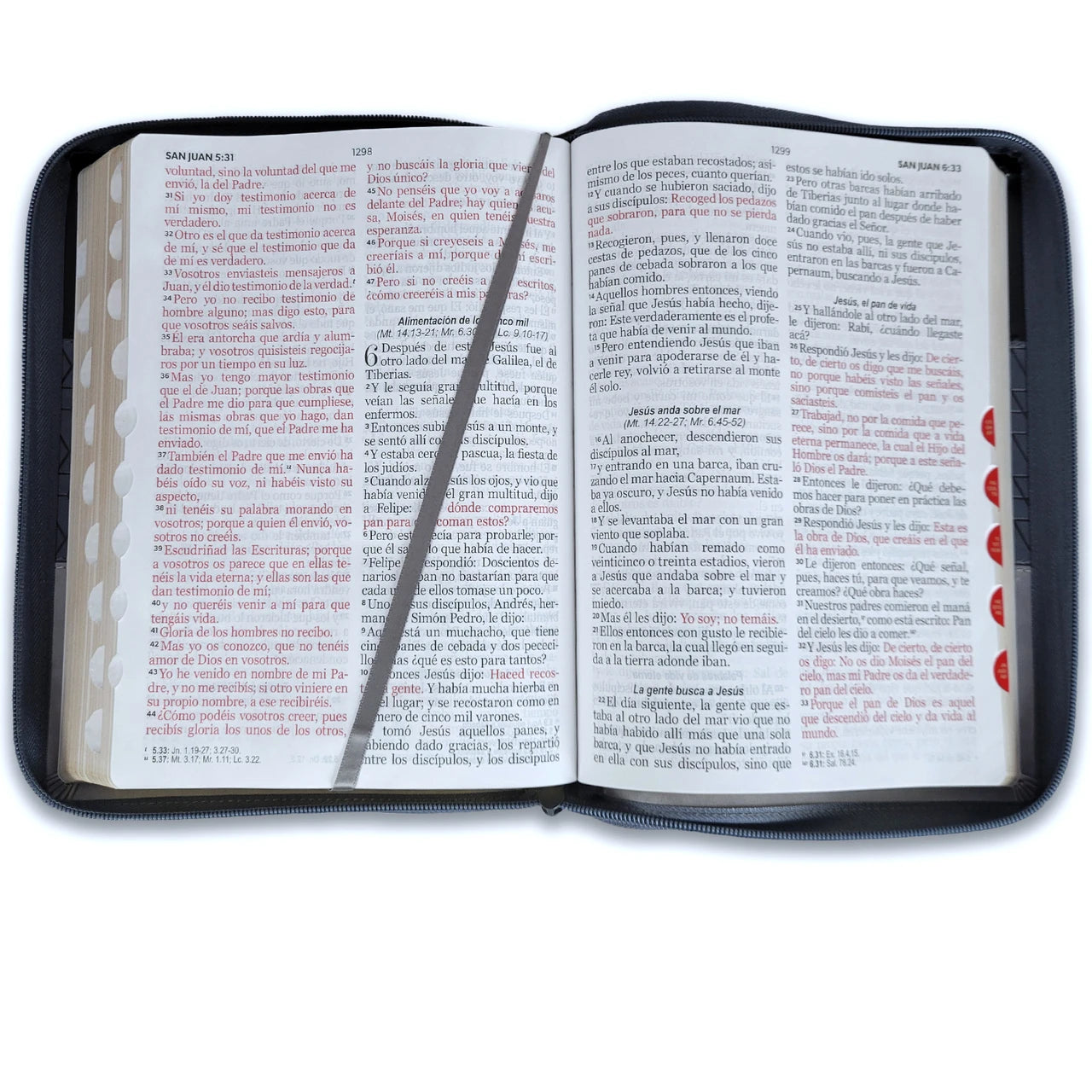 Biblia Letra Gigante 15 puntos RV1960, Imitacion Piel Tricolor Negro-Gris con In