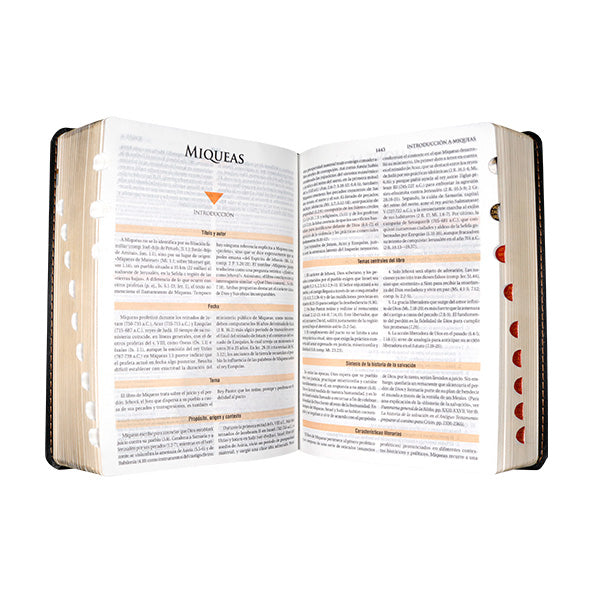 Biblia de Estudio Teológico RV1960 — Tamaño Personal, Imitación Piel con Índice