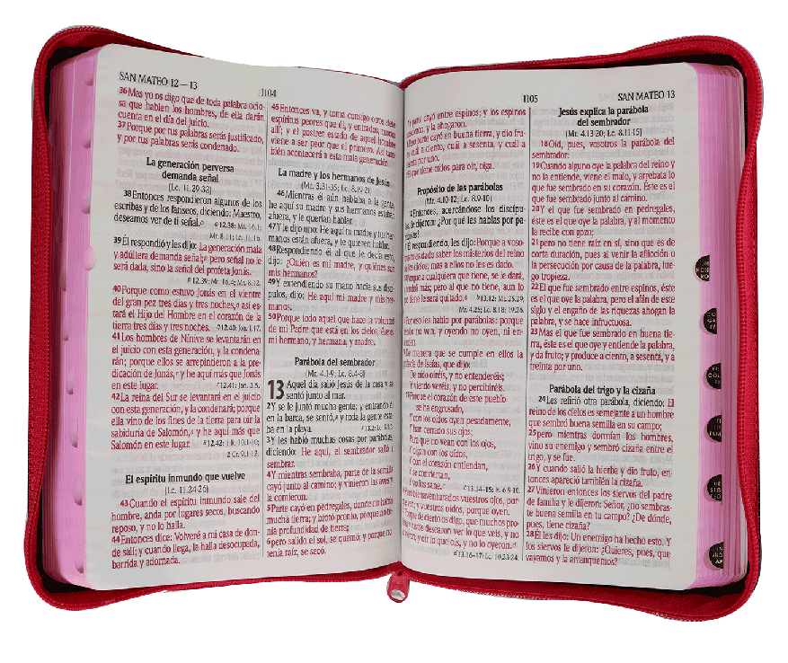 Biblia RVR1960  Letra Grande 12 Pts  Tamano Manual Cierre, Jean Rosa Con Indice