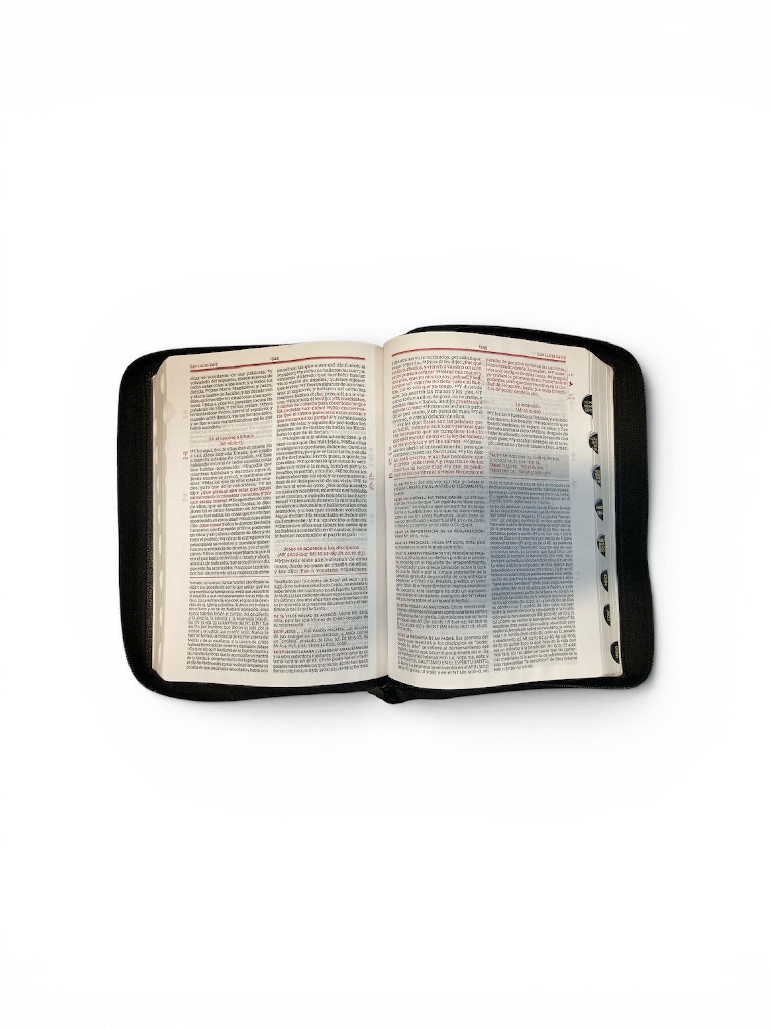 Biblia de estudio Vida Plena, RVR 1960, Edicion clasica, Piel Fabricada Negro co