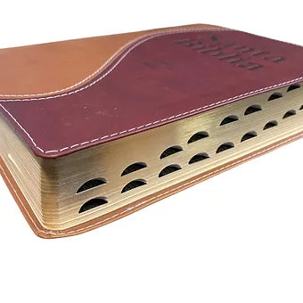 Biblia Letra Grande Tamano Manual RVR 1960, Simil Piel Crema-Marron Con Indice