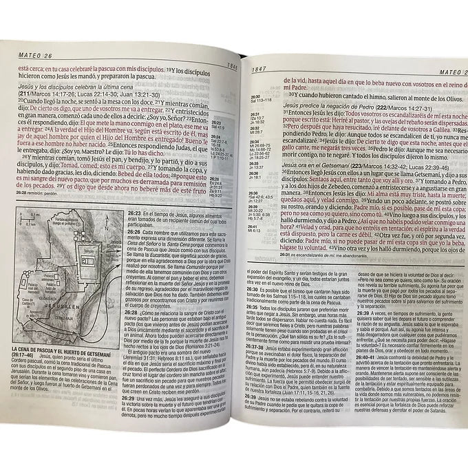 Biblia Diario Vivir Letra Grande, RVR 1960, Imitación Piel Negro Con Índice