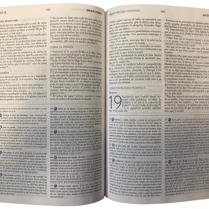 Biblia de estudio RVR Mensaje Profético y Escatológico, Imitación Piel Azul