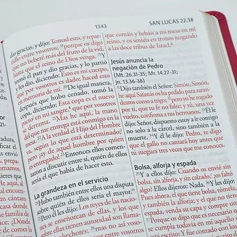 Biblia RVR 1960 letra super gigante, Simil Piel Fucsia rosada