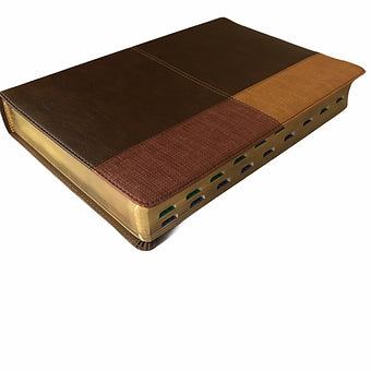 Biblia de Estudio Arco Iris RVR 1960, Simil Piel Cocoa-Terracota con Indice