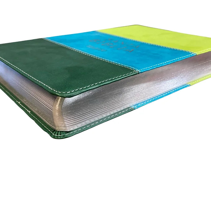 Biblia Letra Grande RVR 2020, Símil Piel Tricolor Verde