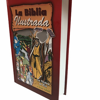 Biblia ilustrada, Pasta dura