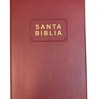 Biblia NTV, Edicion premio y regalo | Vynil  Vino Tinto