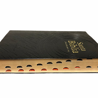 Biblia Letra Supergigante 19Pts, RVR 1960 con Indice | Tapa de Vinil Negro
