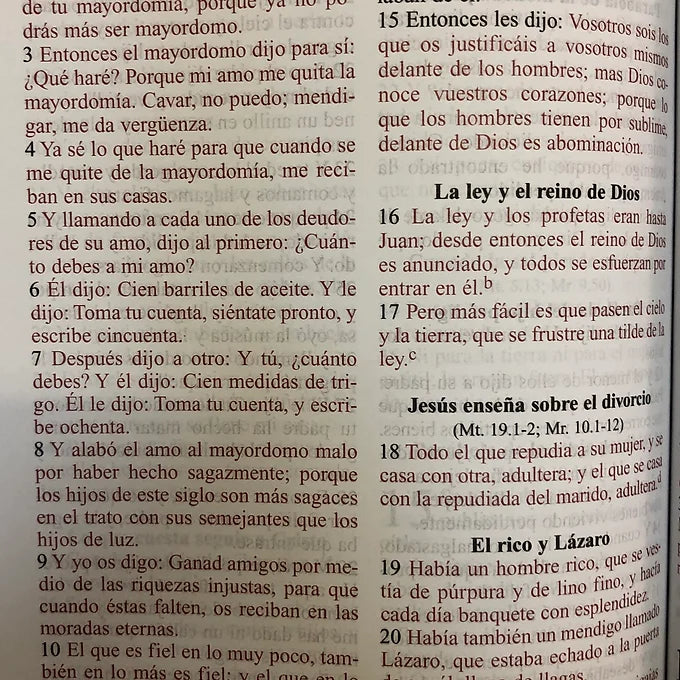 Biblia letra grande Piel italiana café  RVR 1960