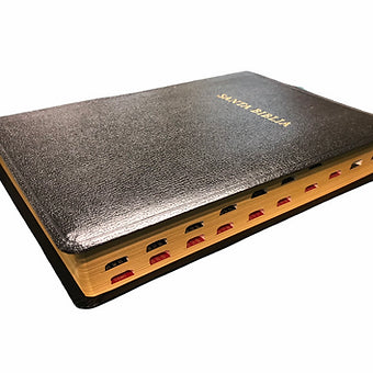 Biblia Letra Supergigante RVR 1960, Imitación Piel Negro Con índice
