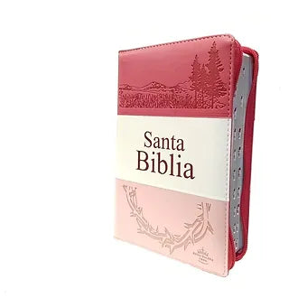 Biblia Letra Grande Tamaño Manual RVR 1960, Con Índice