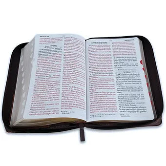 Biblia Letra Gigante 14 Puntos, Manual, RV1960 | Piel Cafe con Indice y Cierre
