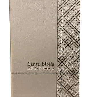 Biblia de Promesas Tamaño Manual RVR 1960, Imitación Piel Gris Con Index