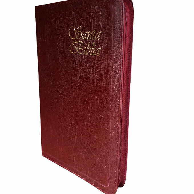 Biblia Más Liviana RVR 1960, Imitación Piel Con Zíper