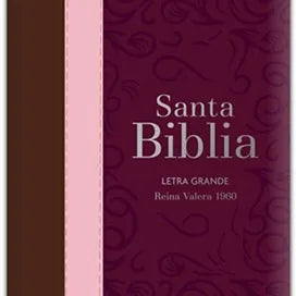 Biblia Letra Grande Tamano Manual, Indice y Cierre  Guinda-Rosa-Marron