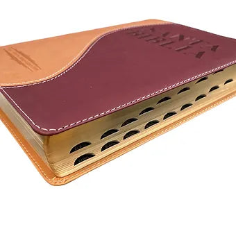 Biblia Letra Grande Tamano Manual RVR 1960 Con Indice, Simil Piel Beige-Marron