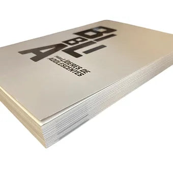 Biblia para lideres de adolescentes - NBV