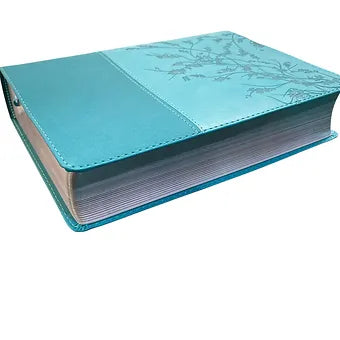 Biblia De La Mujer Conforme Al Corazon De Dios RVR 1960, Piel Aqua