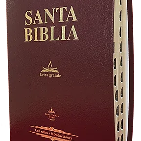 Biblia Letra Grande RVR 1960 | Imitacion Piel Vino Con Indice