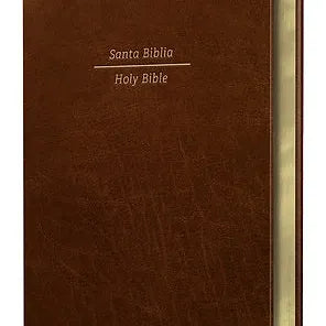 Biblia Bilingüe Reina Valera 1960/ESV Tamaño grande piel marron