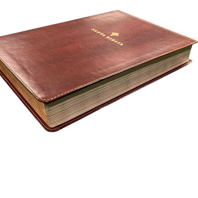 Biblia NTV, Letra Grande, Ultrafina, SentiPiel Café Oscuro