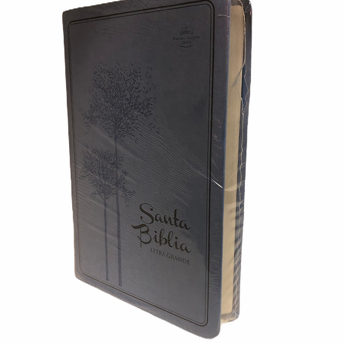 Biblia Letra Grande RVR 1960, Imitación Piel Azul