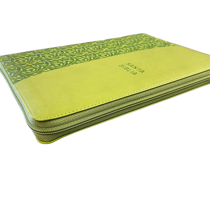 Biblia RVR60 Letra Grande  12 Puntos , Simil Piel Verde