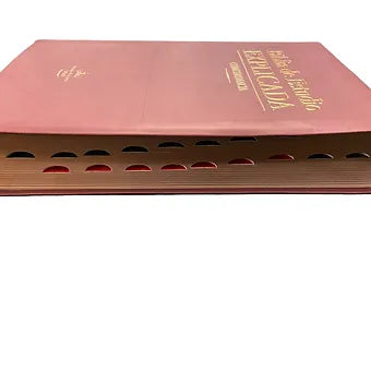 Biblia de estudio explicada RVR 1960, Piel Especial Marron Con Indice