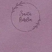 Biblia letra gigante, Simil Piel Rosa Perla  con indice