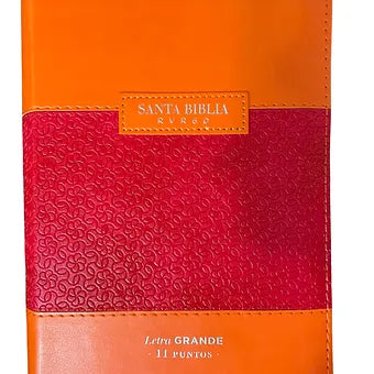 Biblia Tamano Compacta RVR60, 11 Pts, Cierre, Indice, Piel Fuscia-Naranja