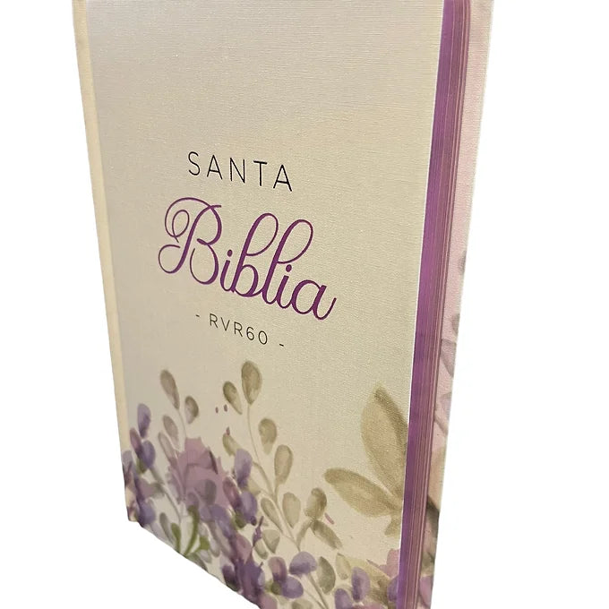 Biblia Tamano Manual Letra Grande RVR60, 12 Pts, Tapa Dura