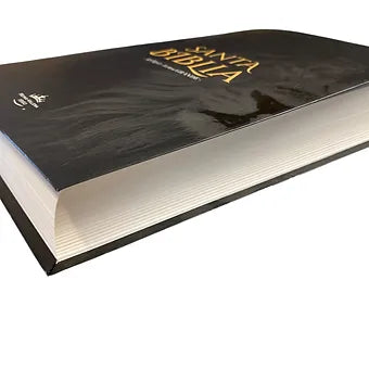 Biblia Letra Grande Tamano Manual RVR60, Tapa Flexible