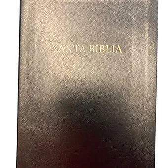 Biblia Letra Super Gigante RVR 1960 | Simil Piel negro Con Indice