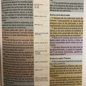 Biblia de estudio Arco Iris, RVR 1960, Símil piel verde profundo con índice