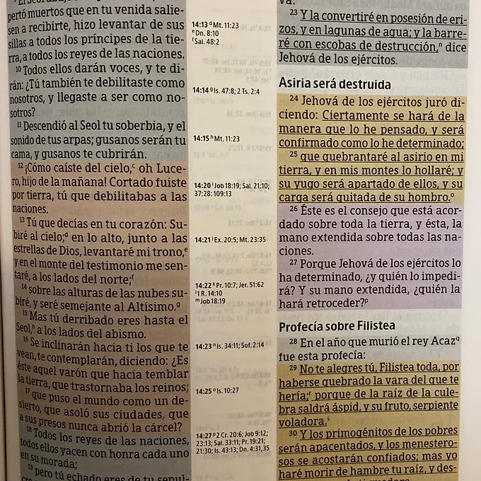 Biblia de estudio Arco Iris, RVR 1960, Símil piel verde profundo con índice