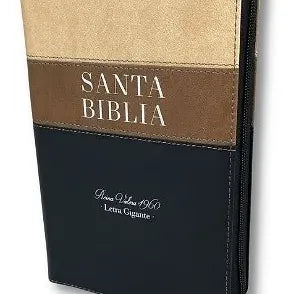 Biblia Letra Gigante Tamaño Manual RVR 1960, Simil Piel 3 Tonos