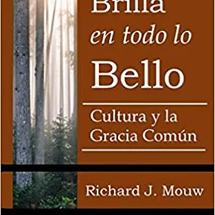 Brilla en todo lo Bello: La cultura y la gracia común
