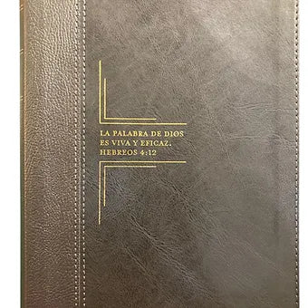 Biblia Diario Vivir Letra Grande, RVR 1960, Imitación Piel Negro Con Índice