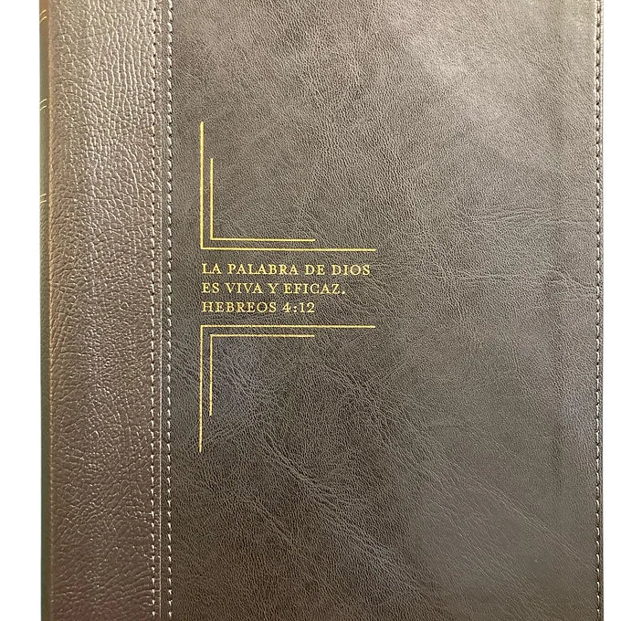 Biblia Diario Vivir Letra Grande, RVR 1960, Imitación Piel Negro Con Índice